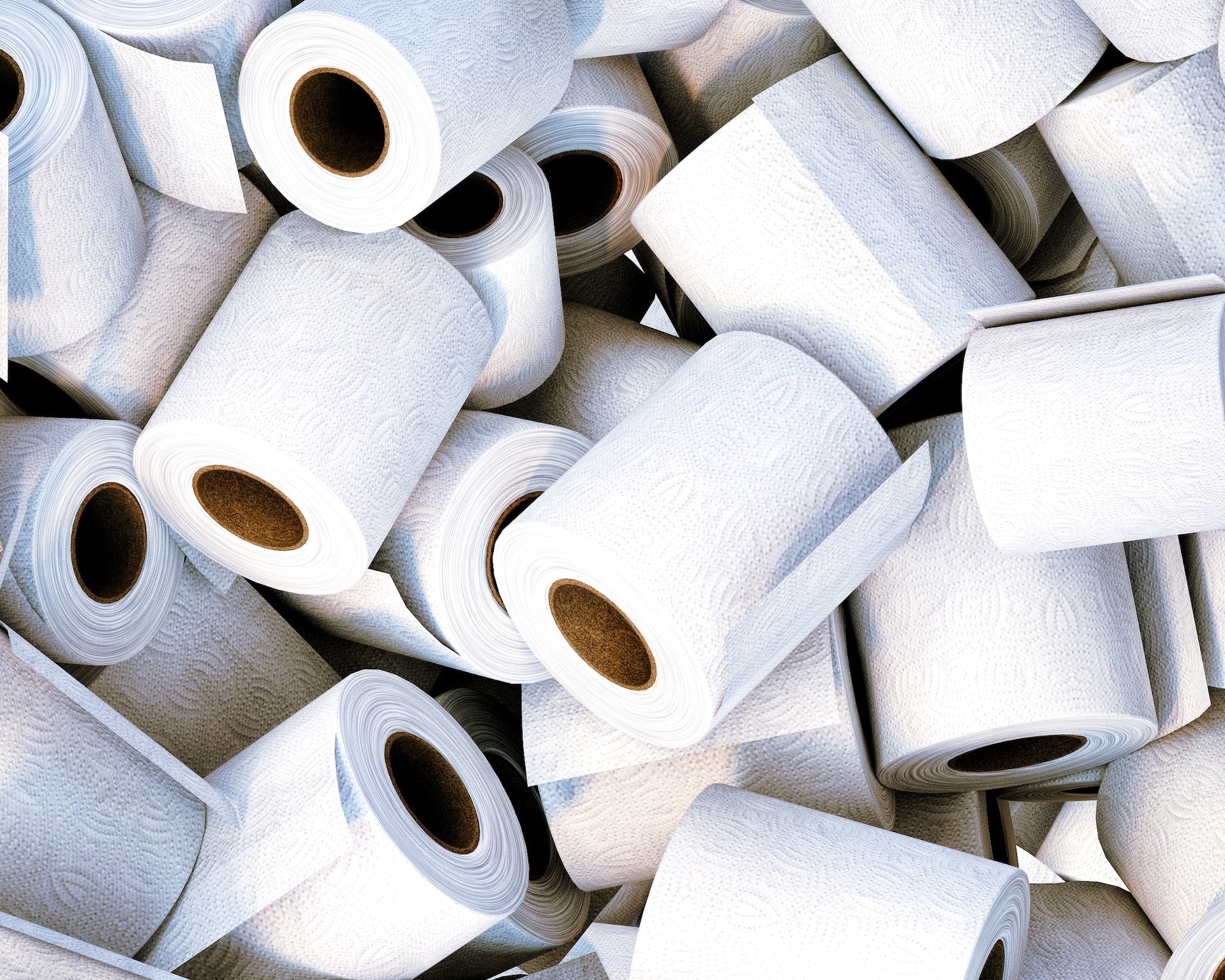 Eco-Friendly Toilet Tissue Showdown: Tanki vs. Other Green Alternatives