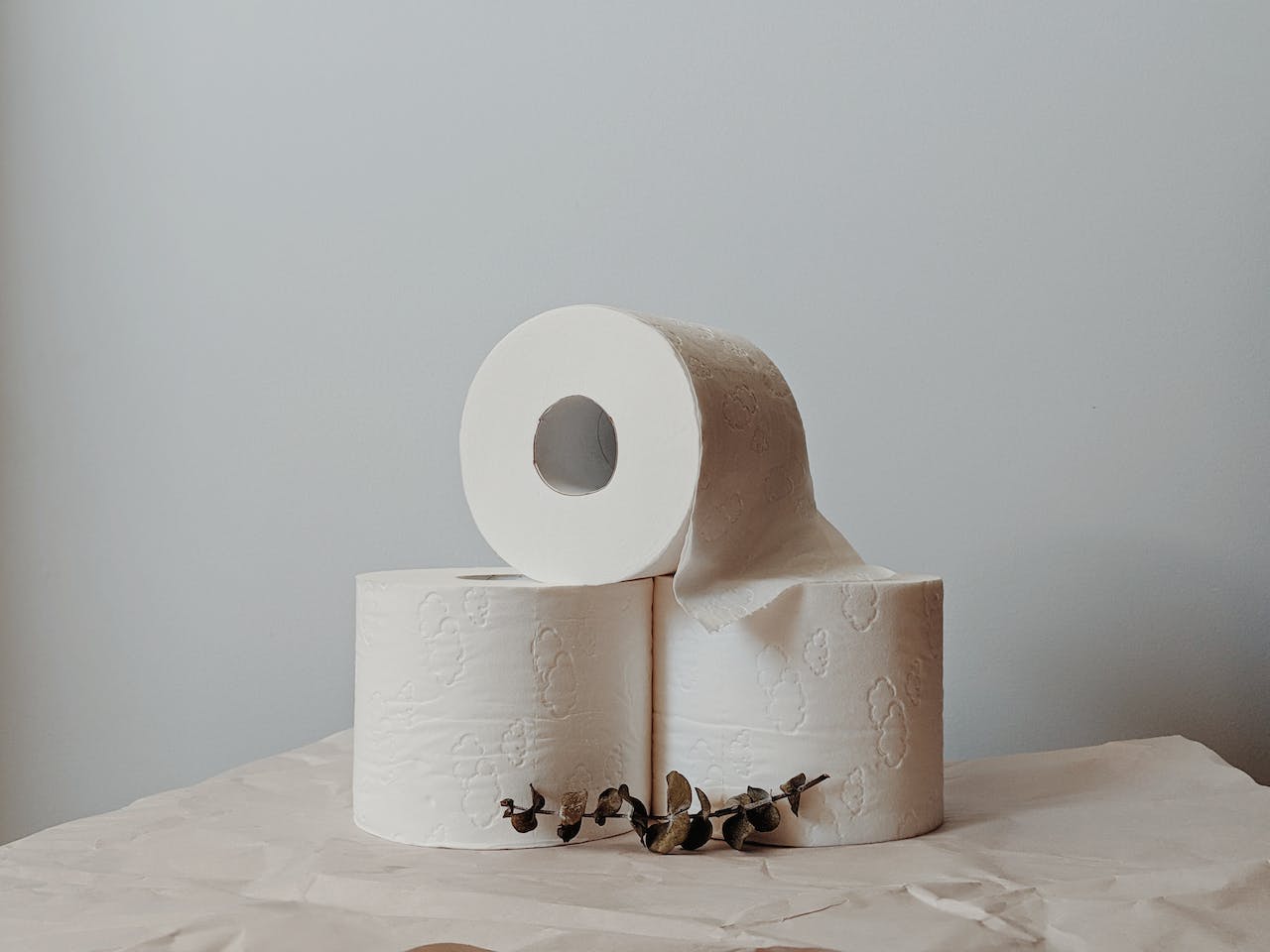 5 Unexpected Health Benefits of Switching to Eco-Friendly Toilet Paper Like Tanki