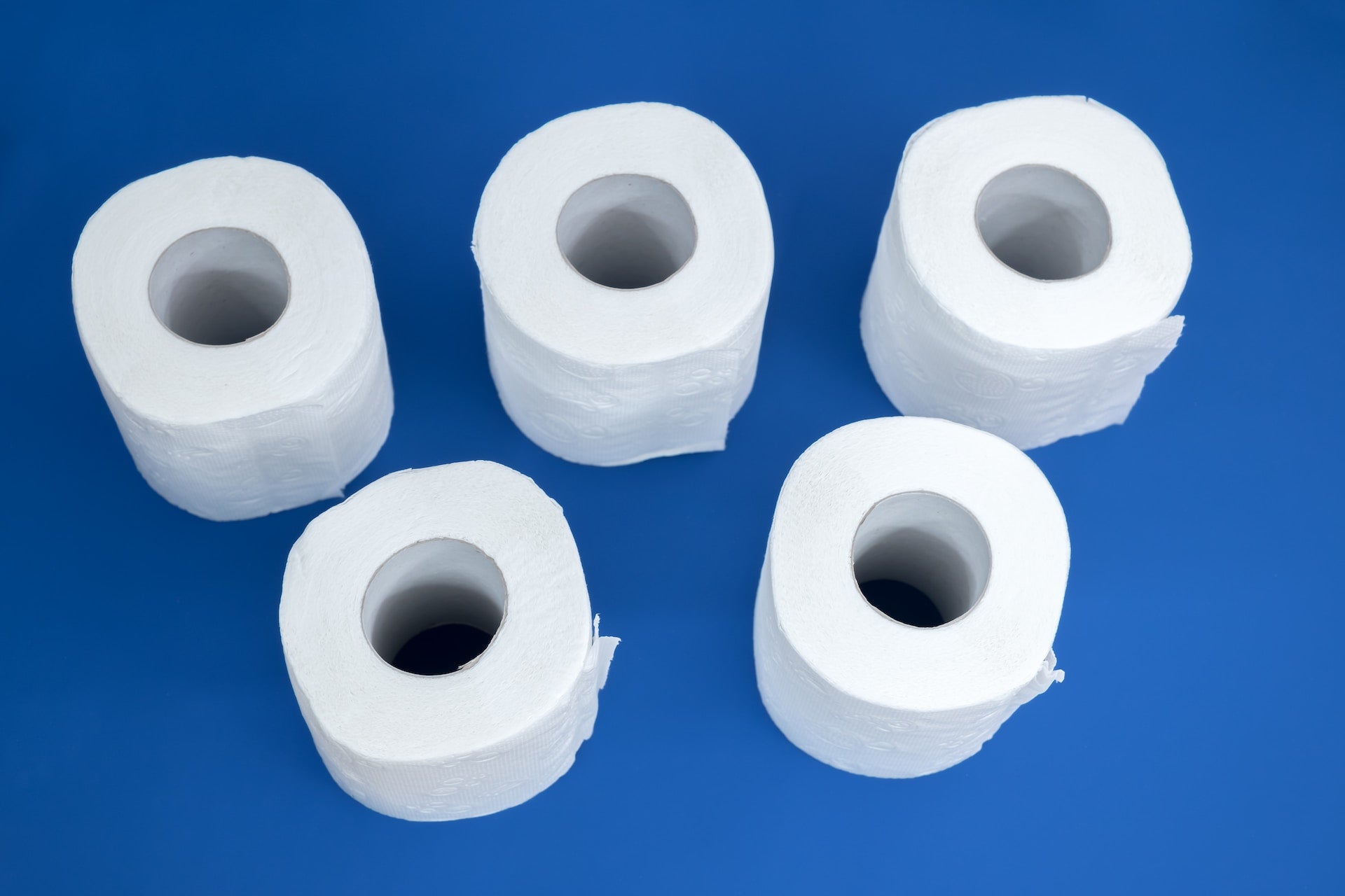The Environmental Impact of Traditional Toilet Paper: Switch to Tanki Toilet Tissue