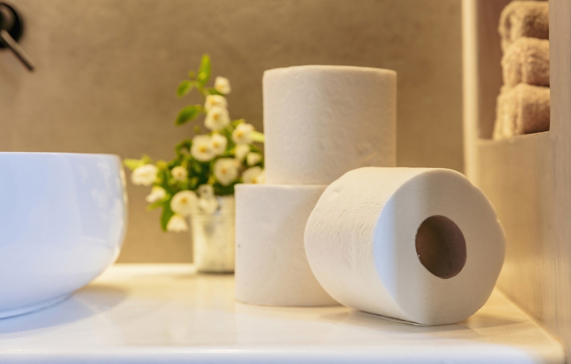 Greening Your Workspace: Tanki's Toilet Tissue and Eco-Friendly Office Makeover Tips